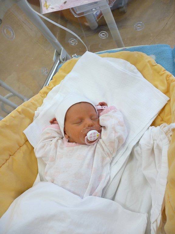 Sofie (2,31 kg, 45 cm) se narodila 13. srpna v 10:42 v plzeňské fakultní nemocnici. Na světě ji přivítali rodiče Alena a David Malých a sestřičky Romana (16) a Natálie (12) z Cebivi.