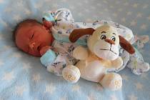Zbyněk H. se narodil 15. února 2022 v domažlické porodnici. Po příchodu na svět vážil 2630 g a měřil 47 cm.