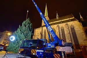 Instalace vánočního stromu v Plzni na náměstí Republiky