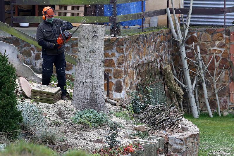 vánoční strom pro Plzeň soukromá zahrada Kařez