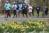 Run For ProCit – šestého ročníku charitativního rodinného běhu se v Borském parku v Plzni v sobotu zúčastnily desítky běžců.