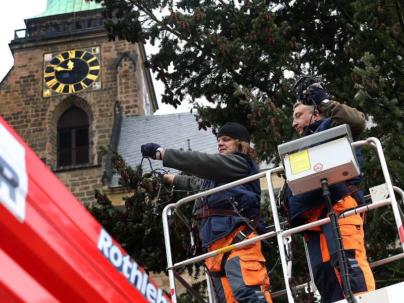 Zdobení vánočního stromu na náměstí Republiky v Plzni