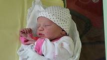 Zuzana Louparová (3650 g) se narodila 29. března 2022 v 5.13 hodin v porodnici U Mulačů. Rodiče Anna a Josef z Plzně dopředu věděli, že se jim narodí holčička. Doma na malou sestřičku čekala Rozálie (2,5).