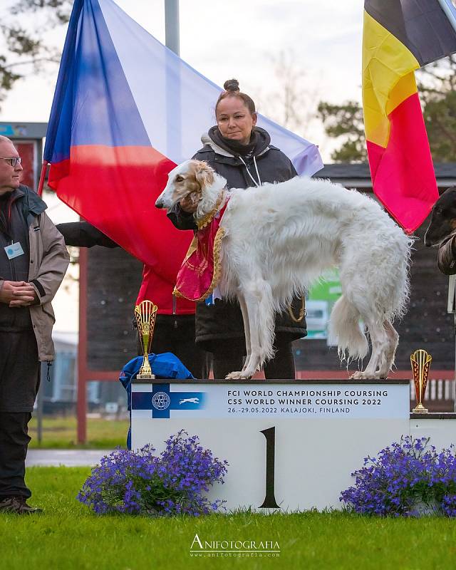 Chrtovi, který se v rodokmenu jmenuje Avalanche Daraska, říká jeho majitelka Ľubica Toušová (na snímku) Orel. V květnu se stal ve finském Kalajoki mistrem světa v běhu psů.