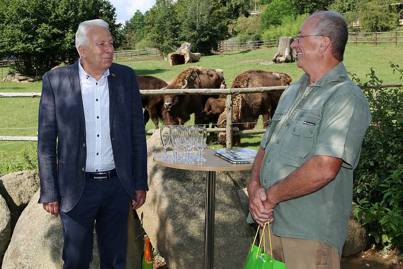 Mládě zubra v plzeňské zoo.