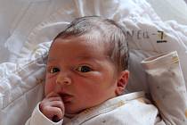 Stella Langa Serrano spatřila světlo světa 7. ledna v 15:54 hodin ve FN Lochotín. Vážila 3700 g a měřila 51 cm. Svým příchodem na svět udělala největší radost rodičům Patricii a Antoniovi z Plzně. Tatínek to u porodu zvládl perfektně.