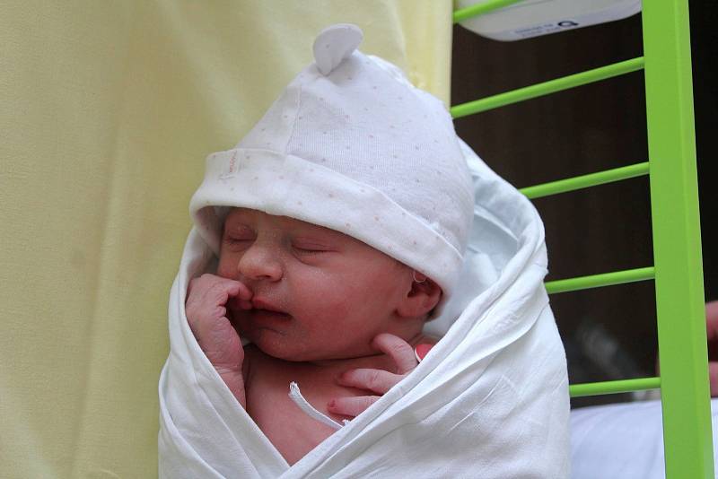 Tereza Kulmanová se narodila 20. dubna v 7:16 hodin rodičům Michaele a Lubomírovi z Plzně. Po příchodu na svět v Mulačově nemocnici vážila jejich prvorozená dcera 3020 gramů.