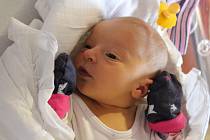 Andrea Rejšková z Plzně se narodila v porodnici FN Lochotín 22. srpna ve 4:11 hodin. Pohlaví své prvorozené holčičky s mírami 3250 g a 50 cm věděli rodiče Michaela a Martin dopředu.