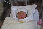Adéla (2,94 kg, 49 cm) se narodila 17. ledna ve 22:48 ve Fakultní nemocnici v Plzni. Ze své prvorozené holčičky se radují maminka Hana Kondelíková a tatínek Martin Vojík z Třemošné