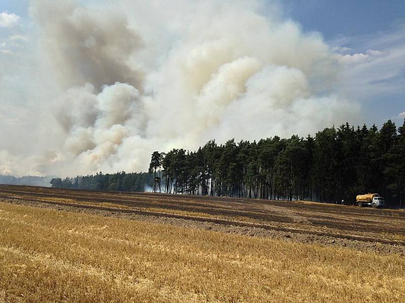 Požár lesa a pole u Horního Hradiště na severním Plzeňsku