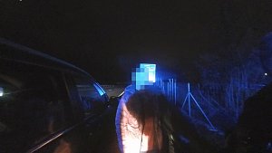 Řidiče, který nadýchal téměř čtyři promile alkoholu, zastavili plzeňští strážníci na přivaděči na Klatovy.