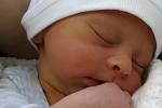 Daniel Čermák z Kamenného Újezdu se narodil 26. června ve 3:38 hodin (3100 g) v plzeňské FN na Lochotíně. Maminka Vendulka a tatínek David Čermák svého prvorozeného syna s láskou očekávali.