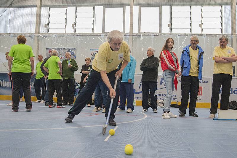 Sportovní hry seniorů v Plzni.