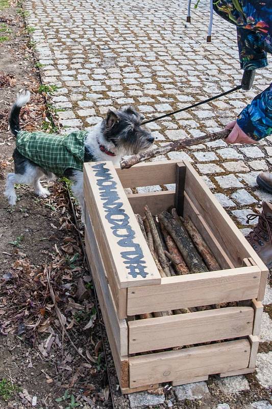 Klackoknihovna v plzeňském Borském parku.