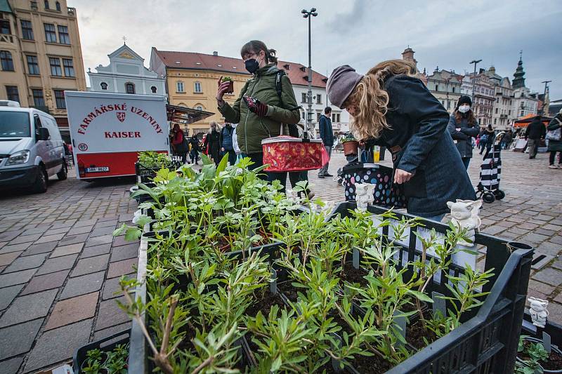 Farmářské trhy na náměstí Republiky v Plzni.