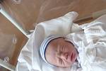 Prvorozený Pavel (3,14 kg, 48 cm) se narodil 11. května ve 4:00 ve Fakultní nemocnici v Plzni. Na světě svého chlapečka přivítali rodiče Jana a Pavel Křečkovi z Tlučné