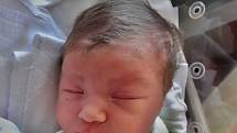 Matěj Drha se narodil 20. dubna 10 minut po 15. hodině rodičům Hance a Martinovi z Plzně. Po porodu v plzeňské fakultní nemocnici vážil jejich první potomek 3370 gramů a měřil 50 centimetrů