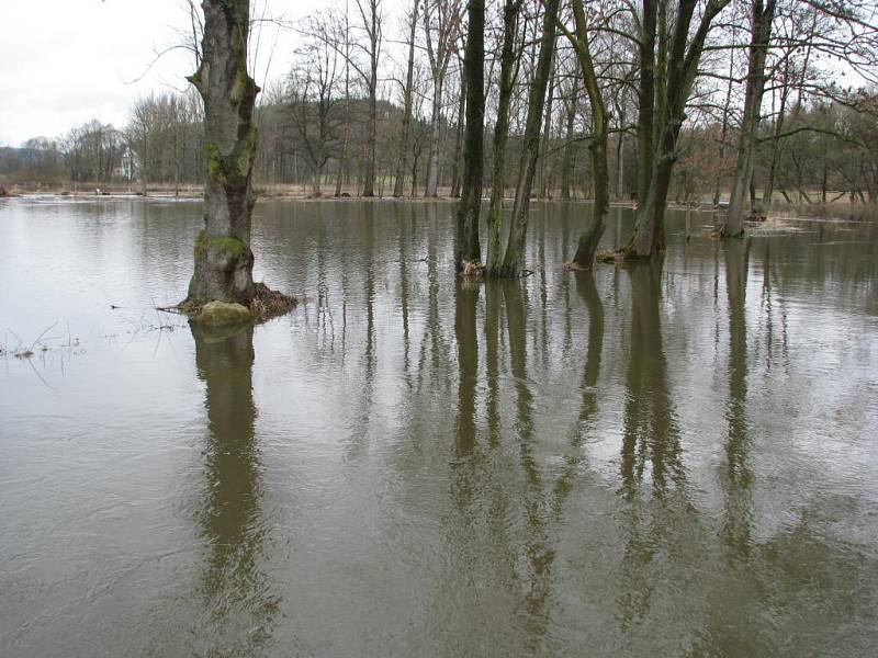 Řeka Úslava ve Vrčeni