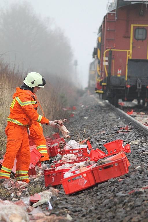Nehoda zastavila vlaky, hasiči odklízejí z kolejí maso
