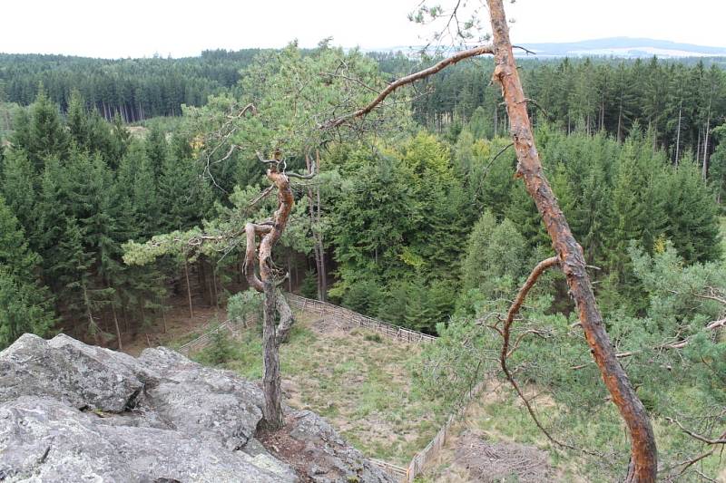 Dřevěný altán na Mariině skále u jihoplzeňského Milínova