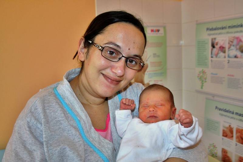David Lipovský se narodil 11. ledna v 6:02 mamince Ivaně a tatínkovi Petrovi z Číčova. Po příchodu na svět v rokycanské porodnici vážil jejich syn 3000 gramů a měřil 46 centimetrů.