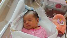Maria Vozian (3550 g, 52 cm) se narodila 8. května v 16:18 hodin ve FN Lochotín. Rodiče Veronika a Valentin z Plzně věděli, že sourozenci Kleopatra (19), Konstancie (12), Anastazie (8) a Andrei (20 měsíců) budou mít sestřičku.