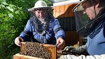 15 - Při medobraní se velikost úlu zmenšuje.