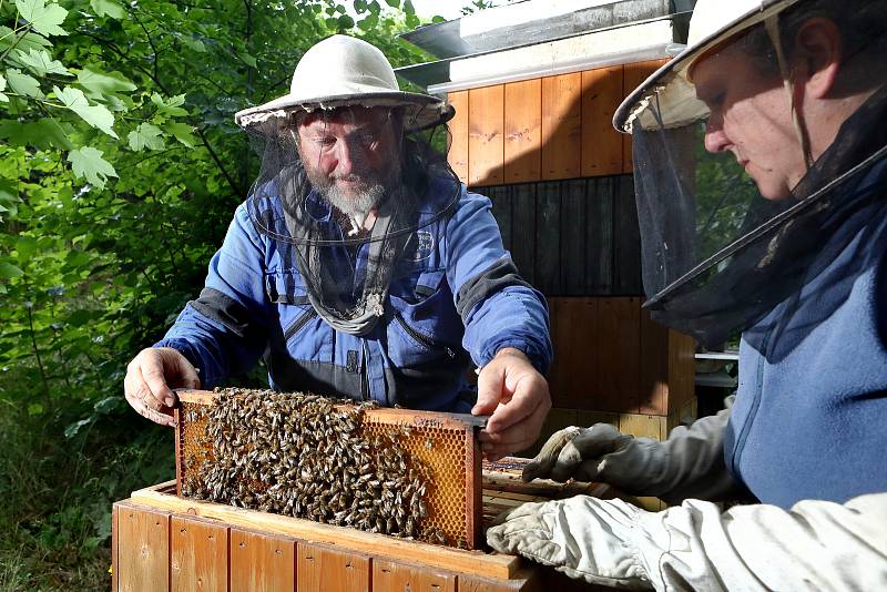 15 - Při medobraní se velikost úlu zmenšuje.