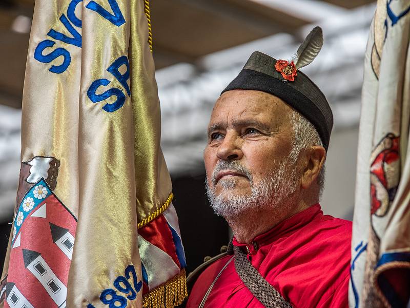 Silou lví, vzletem sokolím! – přehlídka Sokolské župy Plzeňské na Folklórním festivalu