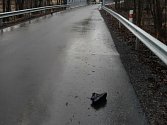 Velkou pátrací akci s dobrým koncem spustil na konci ledna nález páru bot nedaleko mostu přes Úslavu ve Šťáhlavicích.
