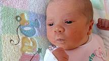 Michaela Svobodová ze Staňkova se narodila 6. dubna ve 14:35 hodin v domažlické porodnici mamince Petře a tatínkovi Bronislavovi. Po příchodu na svět vážila sestřička Adélky 49 centimetrů a vážila 3140 gramů.