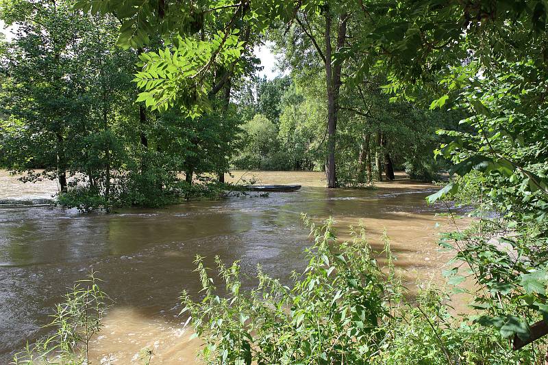 Koterov - meandr řeky Úslavy, zaplavené louky
