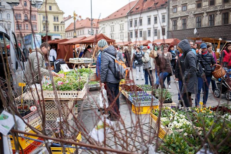 Farmářské trhy v Plzni zahájili již šestou sezónu.