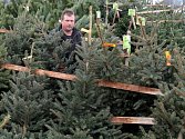 Radek Šnajdr nabízí vánoční stromky v nákupní zóně  na Rokycanské třídě v Plzni