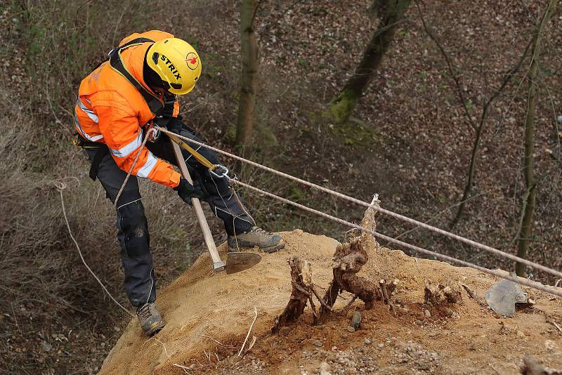 Práce na pískovcové skále v Lobezském parku v Plzni – Doubravce. Specializovaná firma provádí v těchto dnech očištění stěny, odstranění nestabilních částí a instalaci ochranné sítě s vegetačními pásy, které zabrání prorůstání kořenů vegetace do skály.