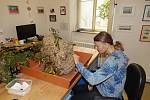 Přírodovědci ze Západočeského muzea v Plzni zkoumají hnízdo sršní asijských