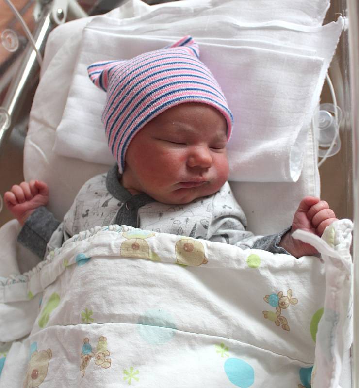 Dominik Švarc se narodil 30. prosince v 19:17 mamince Simoně a tatínkovi Jiřímu z Rokycan. Po příchodu na svět v porodnici FN na Lochotíně vážil bráška dvouleté Viktorie 3700 gramů a měřil 50 centimetrů.