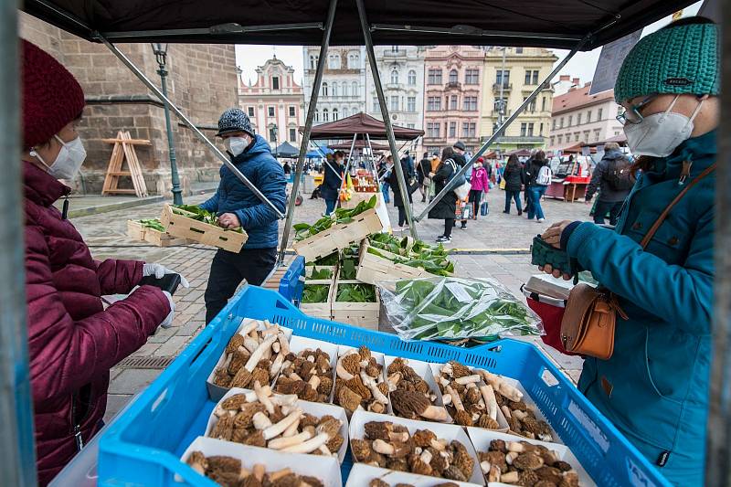 Farmářské trhy na náměstí Republiky v Plzni.