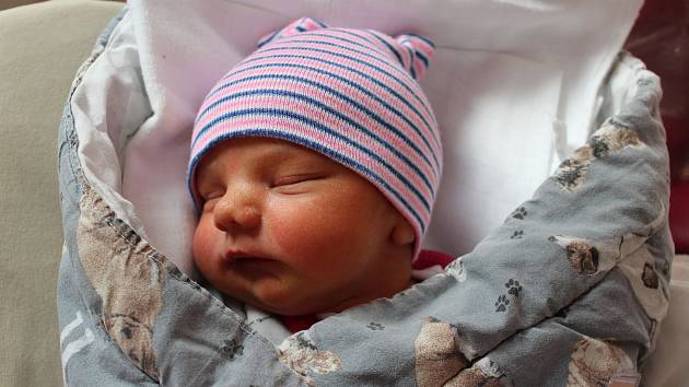 Leo Čipak (3400 g, 49 cm) se narodil v porodnici FN Lochotín 1. října v 7:01 hodin. Rodiče Iryna a Miroslav z Plzně už mají doma čtyřletou Karolínku a věděli dopředu, že bude mít brášku.