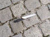 Nůž, který strážníci zabavili.