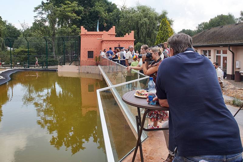 Lvi mají v plzeňské ZOO nový výběh. Lvi berberští jsou v Plzni chováni od roku 2002, kdy vznikl stávající výběh. Při modernizaci byl na 8 metrů rozšířen vodní příkop a doplněny nové části např. separační klec pro lvy, Rajská zahrada či Berberský stan.