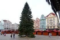 Vánoční strom je už umístěn na náměstí Republiky v Plzni. Letos jde o jedli ojíněnou, teprve pátou jedli a teprve druhou jedli ojíněnou, která je plzeňským vánočním stromem. Nazdobenou ji rozsvítí primátor města na první adventní neděli 27. listopadu.