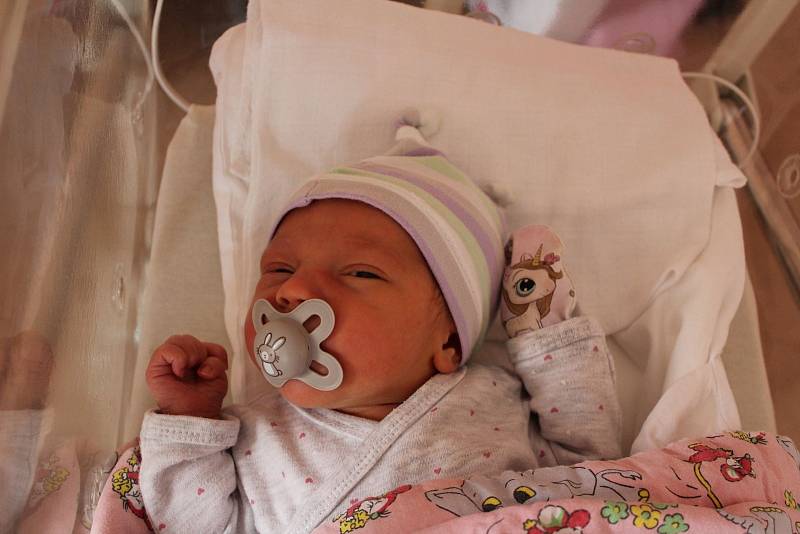 Viktorie Janovcová je prvorozeným miminkem rodičů Nikoly a Romana z Tachova. Narodila se v Plzni v porodnici FN Lochotín 16. září v 16:37 hodin s váhou 3290 gramů.