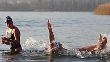 Do hladiny Velkého boleveckého rybníka v Plzni se v sobotu po poledni opíralo listopadové slunce, voda měla 5,5 stupně Celsia. Na břehu se svlékají první otužilci do plavek. Letošní Slavnost slunovratu, což je soutěž v zimním plavání, má rekordní účast.