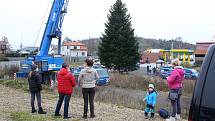 vánoční strom pro Plzeň soukromá zahrada Kařez