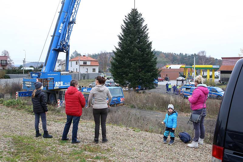 vánoční strom pro Plzeň soukromá zahrada Kařez