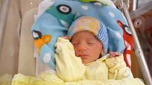 Viktor (2,25 kg, 47 cm) se narodil 10. listopadu ve 22:34 ve Fakultní nemocnici v Plzni. Na světě ho přivítali rodiče Eva a Marek Loulovi z Blovic. Doma na brášku čeká sedmiletá Sofie
