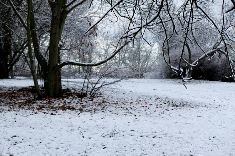 Borský park a první sníh. 