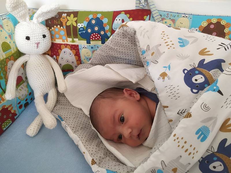 Robert Diviš z Janovic nad Úhlavou se narodil v klatovské porodnici 12. února 2021 v 8:59 hodin (2930 g, 48 cm). Rodiče Miloslava a Robert znali pohlaví svého prvního miminka dopředu.