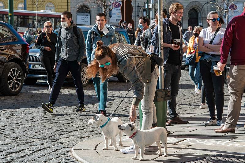 Plzeňany láká sluníčko do parků i na zmrzlinu